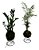 KIT KOKEDAMA MINI PALMEIRINHA E MINI ZAMIOCULCA C/ SUPORTE - Imagem 1