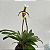 Kokedama de Orquídea Sapatinho (Paphiopedillum) Acabamento Neutro com Suporte Preto - Imagem 2