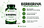 Berberina 300mg - Imagem 2