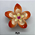 Piranha Flor Grande flor em flor - Imagem 4