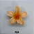 Piranha Flor Grande Bicolor - Imagem 11