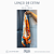 Lenço de Cetim - Imagem 7