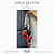 Lenço de Cetim - Imagem 11