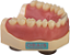 Manequim Dentística superior preparo para faceta (cod.103) - Imagem 1