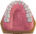 Manequim de Especialização em Periodontia - S.K (cod.322) - Imagem 2