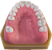 Manequim de Especialização em Periodontia - S.L (cod.305) - Imagem 2