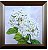 QUADRO GRAVURA 74X74CM REF:4415 - Imagem 1