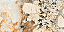 PORCELANATO HELENA ESSENCE HPO 120095 - Imagem 1