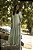 VESTIDO ROSE VERDE - Imagem 1