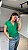 BLUSA CACHECOUR VERDE - Imagem 1