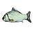 Peixe C/ Erva de Gato M 20cm - Imagem 2