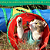 Túnel Para Gato 4 Saídas Brinquedo Interativo Pet Colorido - Imagem 4