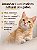 Arranhador de Parede para Gatos em L 60cm x 40cm x 24cm - Proteção para Sofá - Imagem 3
