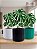 Vaso Decorativo Ondulado Plantas Artificiais e Naturais - 3D - Alta Qualidade 11cm x 13cm - Imagem 3