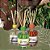 DIFUSOR AROMATIZADOR DE AMBIENTE - TROPICAL AROMAS - ERVAS - Imagem 1