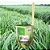 DIFUSOR AROMATIZADOR DE AMBIENTE - TROPICAL AROMAS - ERVAS - Imagem 5