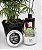 Kit Pote Mensagens de Amor + Pote 365 Inspirações diárias - Imagem 6