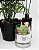Kit Pote Mensagens de Amor + Pote 365 Inspirações diárias - Imagem 7