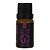Essência Amsterdã, Tulipa Garden (Essências do Mundo) Via Aroma - 10ml - Imagem 1
