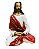 Jesus Meditando - Colorido - Imagem 1