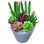 Planta Suculenta Echeveria Artificial para Decoração - Imagem 2