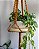 Muda da Planta Jibóia 40cm com Cuia para Decoração Interna - Imagem 3
