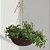 Suporte A de Ferro 30cm para Pendurar Vasos de Planta Parede - Imagem 2