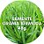 Semente de Grama Bermuda Fina Kit com 48g Pronto p/ Plantio - Imagem 1
