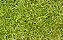 Semente de Grama Bermuda Fina Kit com 48g Pronto p/ Plantio - Imagem 6