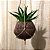 Vaso Kokedama Suspenso 10x11cm Fibra De Coco Natural Flores - Imagem 2