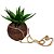 Vaso Kokedama Suspenso 10x11cm Fibra De Coco Natural Flores - Imagem 5