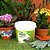 Adubo Fertilizante Mineral 3kg P/ Plantas Forth Jardim NPK+9 - Imagem 2