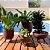 Kit 4 Vasos para Plantas com Tripé de Madeira - Imagem 5