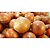 Sementes De Cebola Bola Precoce Sem Agrotóxicos - Isla - Imagem 5