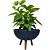 Kit Vaso Bacia Plantas 32cm + Muda de Jibóia Verde + Substrato - Imagem 6