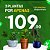 Muda De Ficus Lyrata 50cm para Decoração Interna - Imagem 2