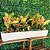 Jardineira Floreira de Plantas Fina para Horta Decorativa - Imagem 10