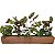 Jardineira Floreira de Plantas Fina para Horta Decorativa - Imagem 5