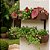 Jardim Vertical com Floreiras de 40 e 80cm - Imagem 3
