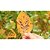 Fungicida Cobre Forth Pronto Uso 500ml para Manchas Foliares - Imagem 6