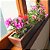 Painel de Madeira Ripada com Jardineiras para Horta Vertical - Imagem 7