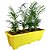 Jardineira para Temperos e Hortas Floreira de Petúnias 17x50cm - Imagem 5