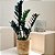 Zamioculca Black Preta Exótica Decoração Interna - Imagem 3