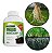 Adubo Enraizador Concentrado 500ml Fertilizante Raiz Forth - Imagem 2