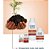 Adubo Enraizador Concentrado 500ml Fertilizante Raiz Forth - Imagem 7