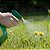 Mata Mato Glifomato 20ml Concentrado Herbicida Não Seletivo - Imagem 2