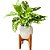 Vaso Cachepot de Mesa 15cm Porcelana com Tripé de Madeira - Imagem 9