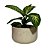 Vaso Bacia para Plantas Redondo de Polietileno 39x21cm - Imagem 6