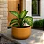 Vaso Bacia para Plantas Redondo de Polietileno 39x21cm - Imagem 9