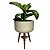 Vaso Bacia Plantas de Polietileno com Tripé Madeira 39x21cm - Imagem 10